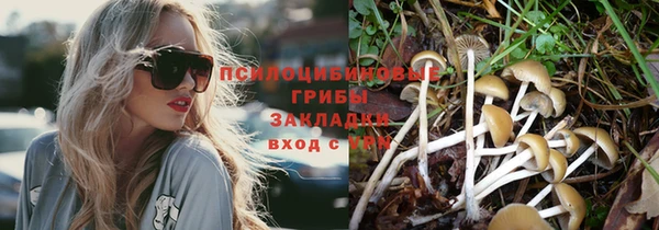 МДПВ Белокуриха
