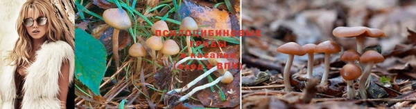 мескалин Белоозёрский